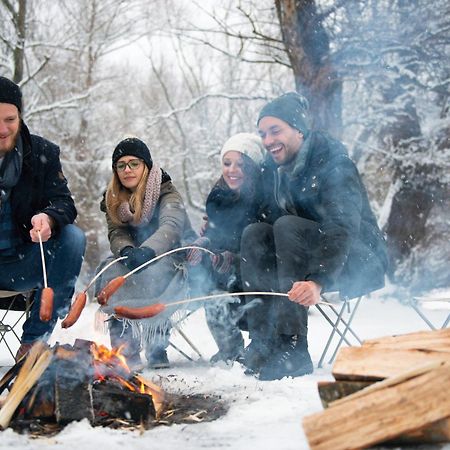 Forest Chalet, 15 Min To Salzburg Olt Town, And Most Beautiful Lakes, Secluded Location, 1,000 Sqm Garden, Mountainview, Panorama Sauna, Bath Whirlpool, Bbq&Bikes&Sunbeds For Free, Up To 10 P Голлинг-на-Хальцахе Экстерьер фото