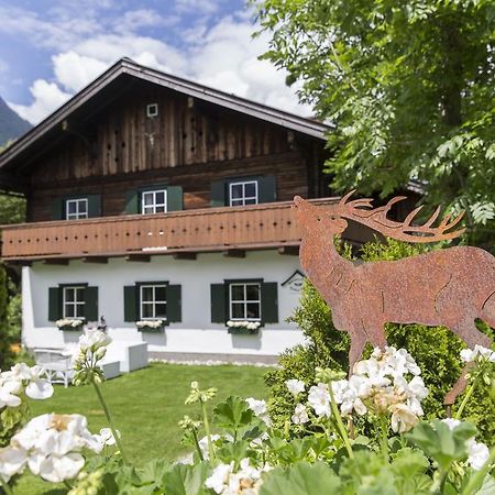 Forest Chalet, 15 Min To Salzburg Olt Town, And Most Beautiful Lakes, Secluded Location, 1,000 Sqm Garden, Mountainview, Panorama Sauna, Bath Whirlpool, Bbq&Bikes&Sunbeds For Free, Up To 10 P Голлинг-на-Хальцахе Экстерьер фото