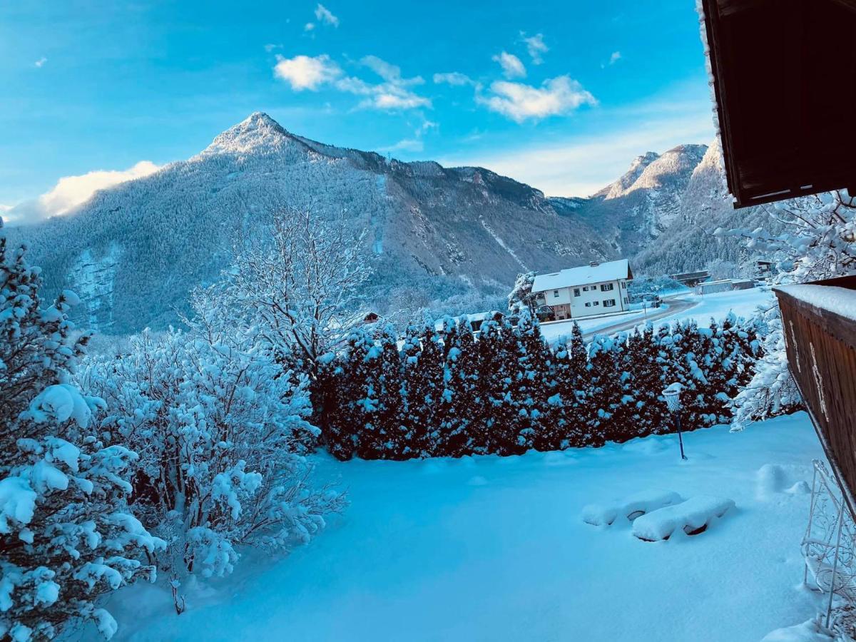 Forest Chalet, 15 Min To Salzburg Olt Town, And Most Beautiful Lakes, Secluded Location, 1,000 Sqm Garden, Mountainview, Panorama Sauna, Bath Whirlpool, Bbq&Bikes&Sunbeds For Free, Up To 10 P Голлинг-на-Хальцахе Экстерьер фото