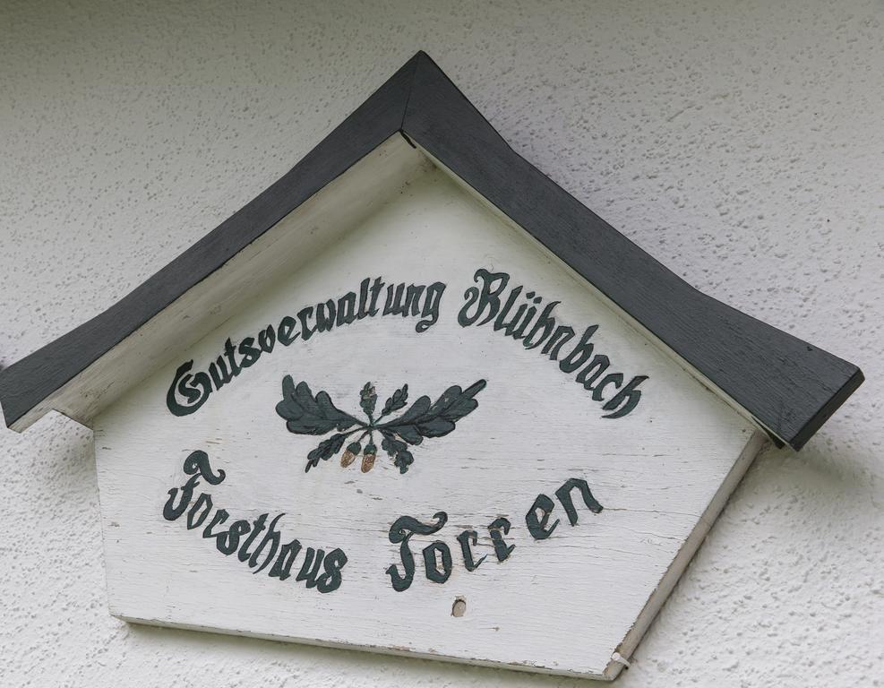 Forest Chalet, 15 Min To Salzburg Olt Town, And Most Beautiful Lakes, Secluded Location, 1,000 Sqm Garden, Mountainview, Panorama Sauna, Bath Whirlpool, Bbq&Bikes&Sunbeds For Free, Up To 10 P Голлинг-на-Хальцахе Экстерьер фото