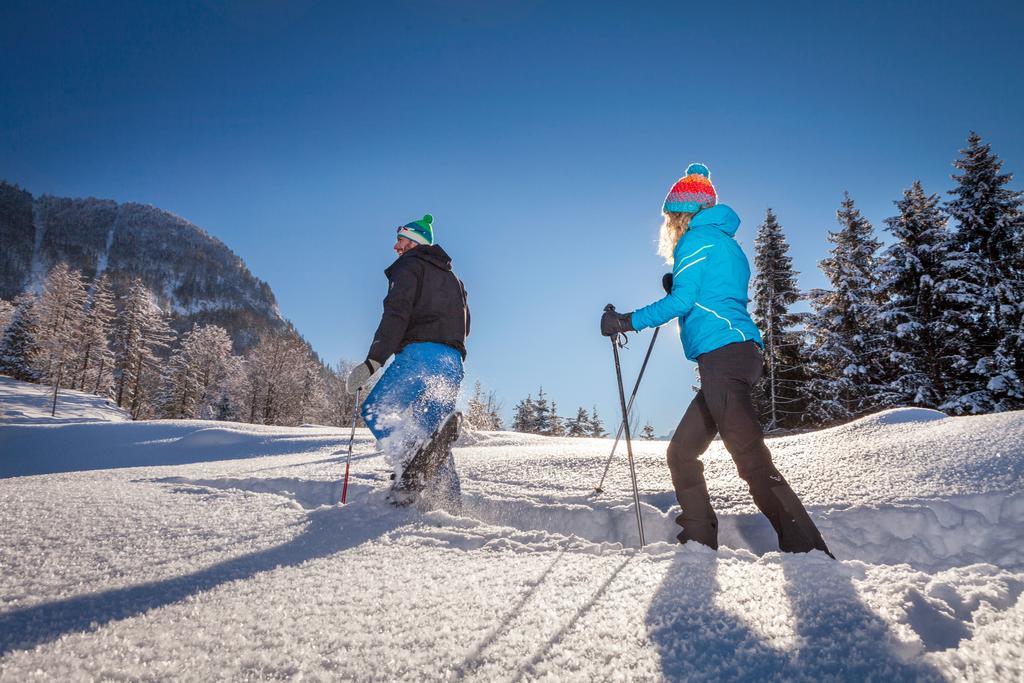 Forest Chalet, 15 Min To Salzburg Olt Town, And Most Beautiful Lakes, Secluded Location, 1,000 Sqm Garden, Mountainview, Panorama Sauna, Bath Whirlpool, Bbq&Bikes&Sunbeds For Free, Up To 10 P Голлинг-на-Хальцахе Экстерьер фото
