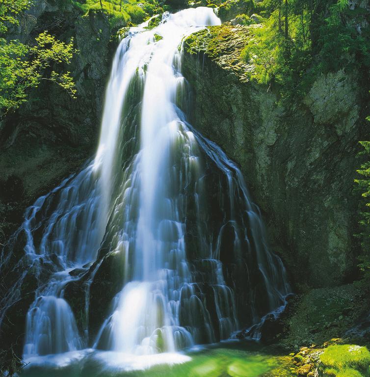 Forest Chalet, 15 Min To Salzburg Olt Town, And Most Beautiful Lakes, Secluded Location, 1,000 Sqm Garden, Mountainview, Panorama Sauna, Bath Whirlpool, Bbq&Bikes&Sunbeds For Free, Up To 10 P Голлинг-на-Хальцахе Экстерьер фото