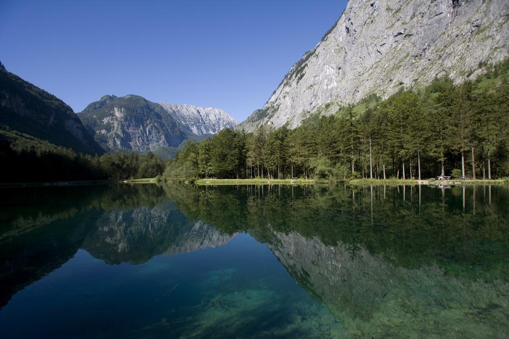 Forest Chalet, 15 Min To Salzburg Olt Town, And Most Beautiful Lakes, Secluded Location, 1,000 Sqm Garden, Mountainview, Panorama Sauna, Bath Whirlpool, Bbq&Bikes&Sunbeds For Free, Up To 10 P Голлинг-на-Хальцахе Экстерьер фото
